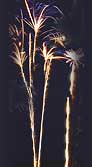 Envol�e successive de 17 �toiles bicolores bleues et jaunes et de 17 �toiles bocolores vertes et pourpres avec com�tes tra�antes argent.