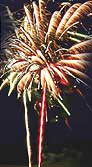 Envol�e successive de 14 bombettes scintillantes argent avec palmes rouges et 14 bombettes pluie multicolore avec palmes vertes.