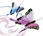 Cartes de mariage, textes faire-part de mariage Cartes de mariage, textes faire-part de mariage