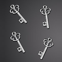Lot de 25 Petites Clefs Argentées