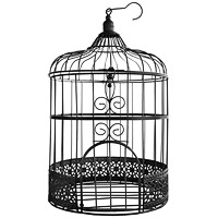 Cage à Oiseaux Urne Métal Noir