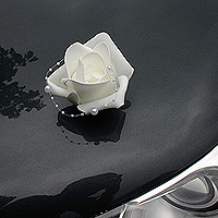 4 Grosses Roses Ventouse pour Voiture avec Perles