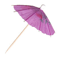 Lot de 200 Mini OMBRELLES pour Cocktails