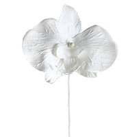 Orchidées Déco Mariage Blanc