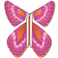 Papillons Magic Flyer Mariage