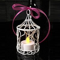 Mini Tonnelle Métal Cage à Oiseaux Mariage