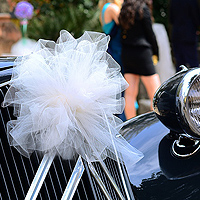 Boule Pompon en Tulle 30 cm