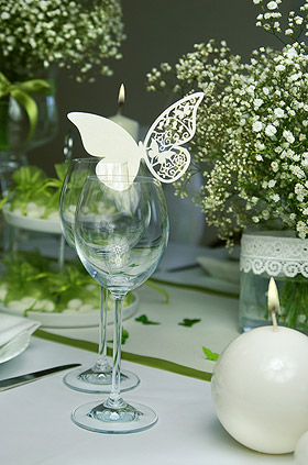 Papillon marque verre