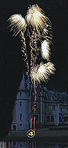 34 tubes : queues de comètes or, comètes abeille, sifflet et crépitant. Queues de comètes or, comètes abeille, sifflet et crépitant.