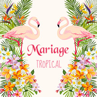 Mariage Thème Tropical