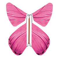 Papillon Magique Fuchsia