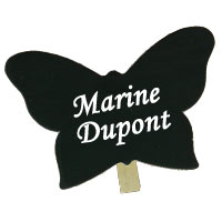 Pinces Ardoise en Forme de Papillon x6