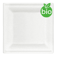 Assiettes Carrées Biodegradables 26cm pas cher