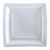 Grandes Assiettes Plastiques Carrées Luxe Turquoise x10