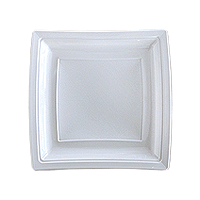 Petites Assiettes Plastiques Carrées Luxe Vert Anis x10