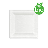 Petites Assiettes Carrées Biodégradables Fibre Canne