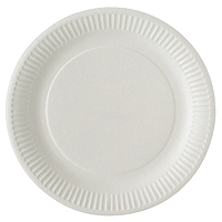 Grande Assiette Ronde Carton Blanc