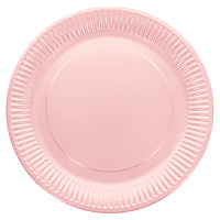 Assiette Carton Rose Clair Pas chere