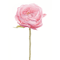 Fleur de Camélia Artificielle Rose sur Tige 35 cm