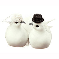 Couple de Colombes Fun Chapeau Mariage