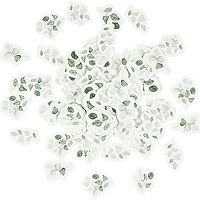 Confetti Papier Botanique Sauge Green