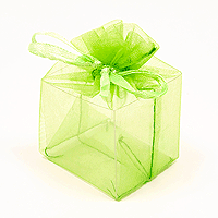 Cube en Organdi Vert Anis Boite Dragée