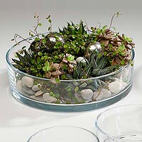 Coupelle en Verre ronde Décoration Florale
