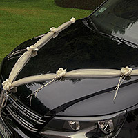 Tulle Fleurs Guirlandes Voiture Mariage