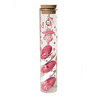 Eprouvette en Verre Bapteme Tétine Inscription Baby avec dragees