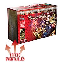 Feu d'Artifice 1Min30 Champs Elysées