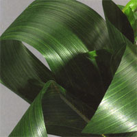 Feuilles Vertes Décoration Florale Artificielle