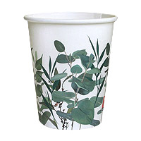 Gobelets Carton Eucalyptus x10