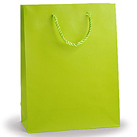 Grand Sac Satiné Cordelette Vert Anis 22 x 29 cm