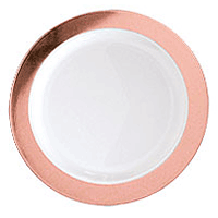 Grandes Assiettes Lavables Daytona Rose Gold
