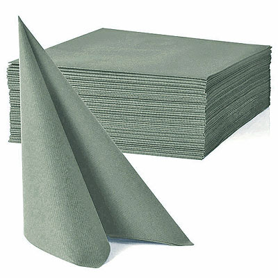 Grandes Serviettes Papier Vert Eucalyptus x40