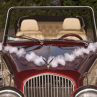 Guirlandes PomPon Tulle Déco Voiture