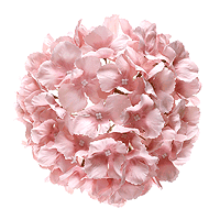 Hortensia Rose Fleur Artificielle Déco Table