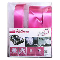 Kit Décoration Voiture Fuchsia