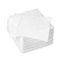 100 Serviettes Papier Blanches