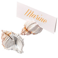 Marque-Places Coquillages Irisés