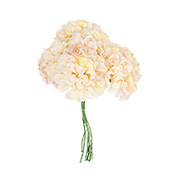 Bouquet 6 Mini Hortensias Blush sur Tige 10cm