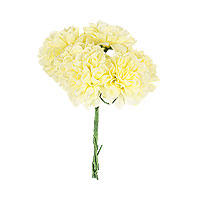 Bouquet 6 Mini Hortensias Jaune sur Tige 10cm