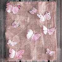 Papillon Dégradé Déco