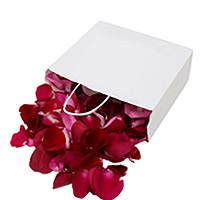 Pétales de Roses Frais Rouges 40 Poignées XL