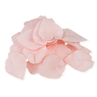 Pétales Rose Luxe en Mousse Déco Mariage