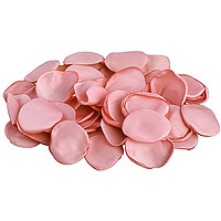 50 Pétales de Roses Satin Rose Poudré