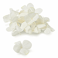 150 Pétales d'Hortensia Artificiels