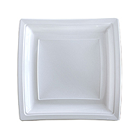 Petites Assiettes Plastiques Carrées Luxe Blanc