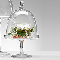 Plateau Cloche Verre sur Pied Mariage