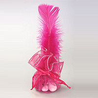 Le Lot de 10 Contenants Pochons Fuchsia avec Plume